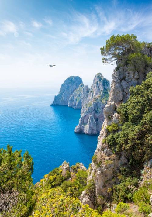sea and rocks in capri