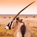 Tour splendida Namibia