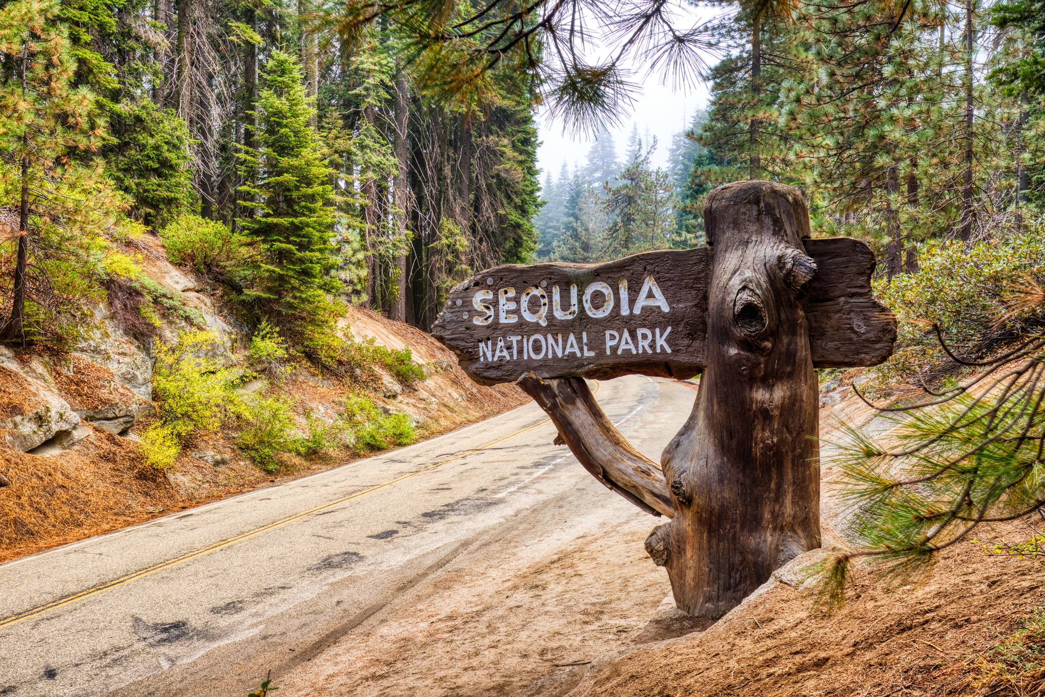 sequoia national park