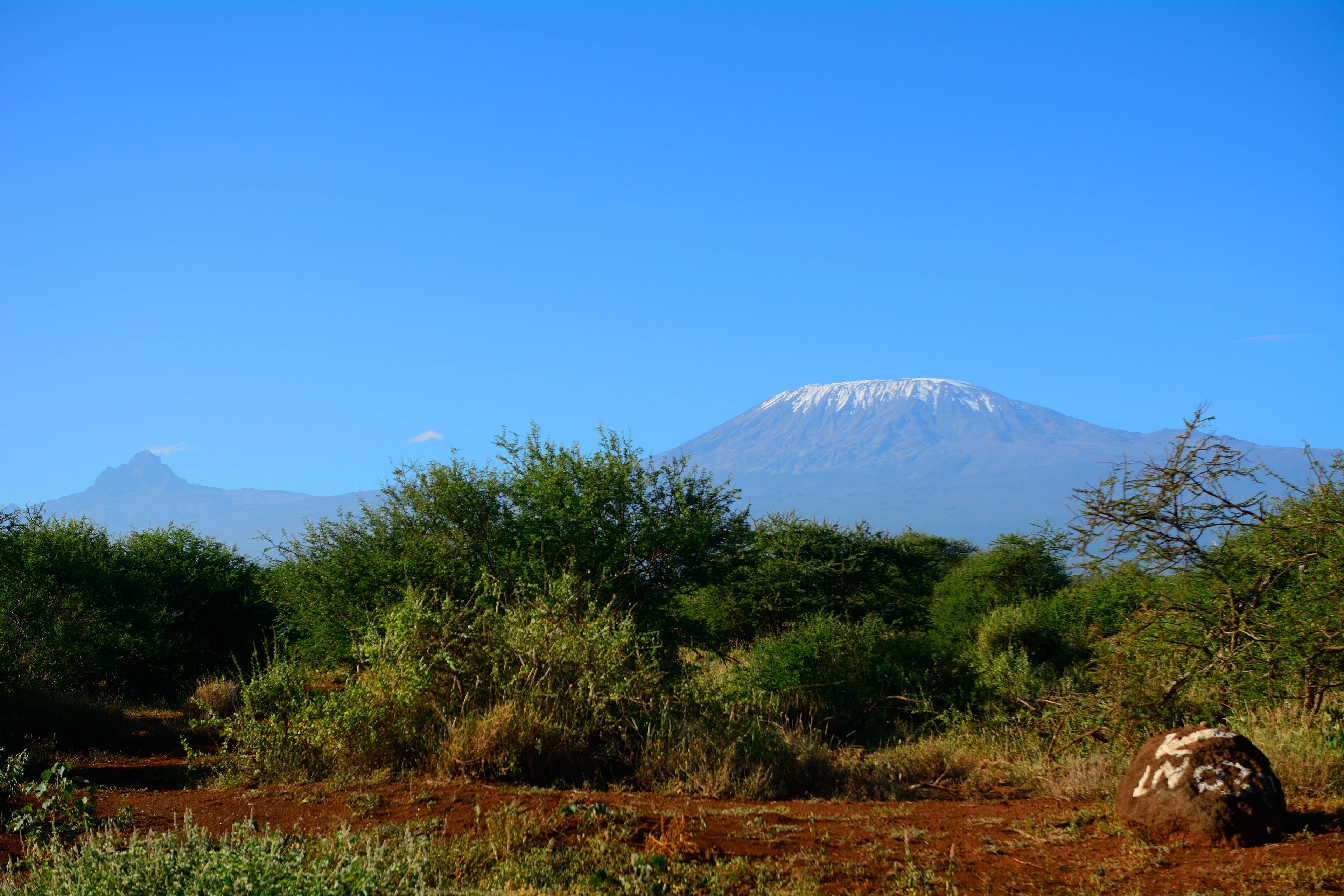 kilimanjaro