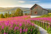 villaggio alta in fiore norvegia