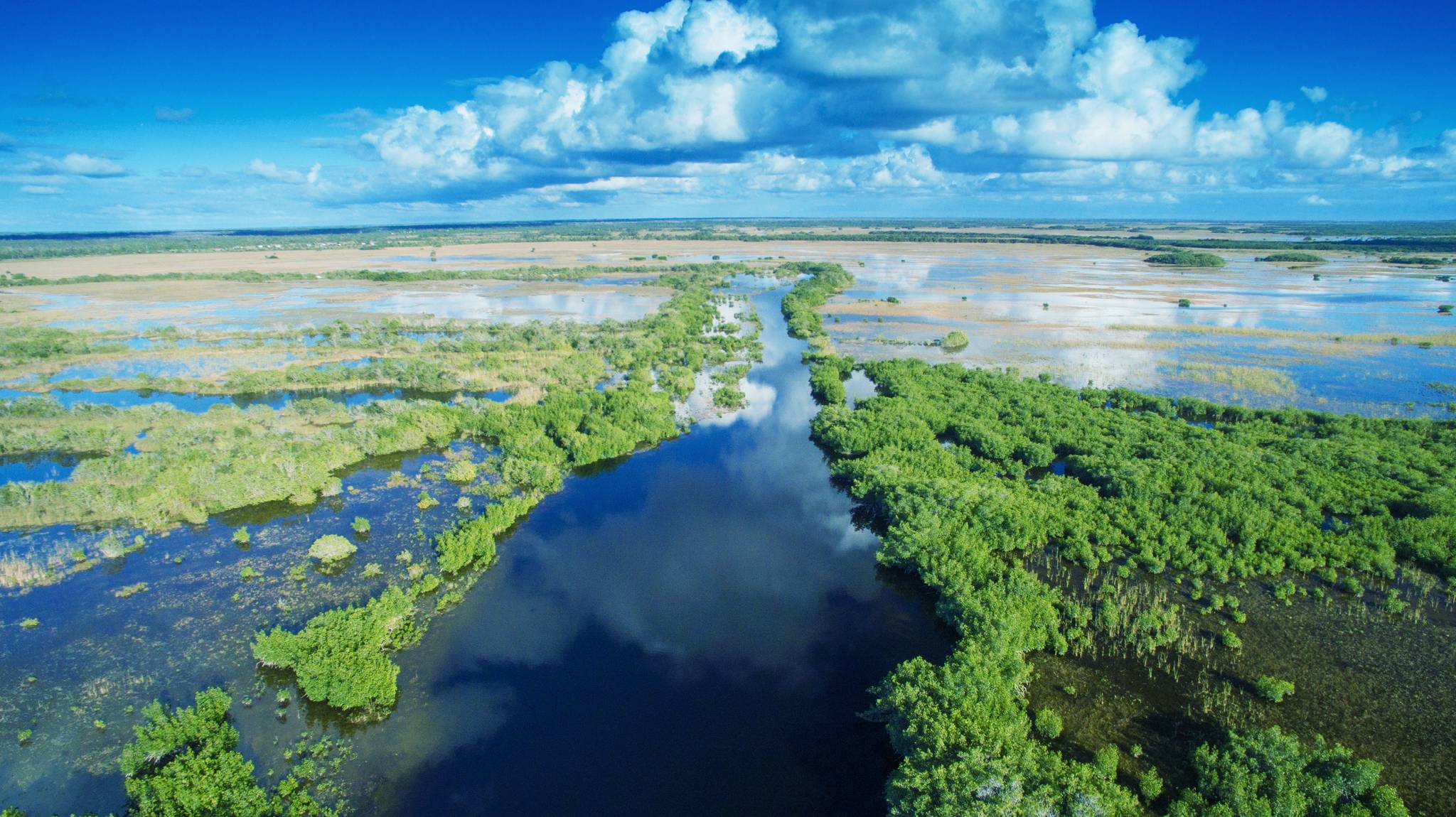 parco everglades