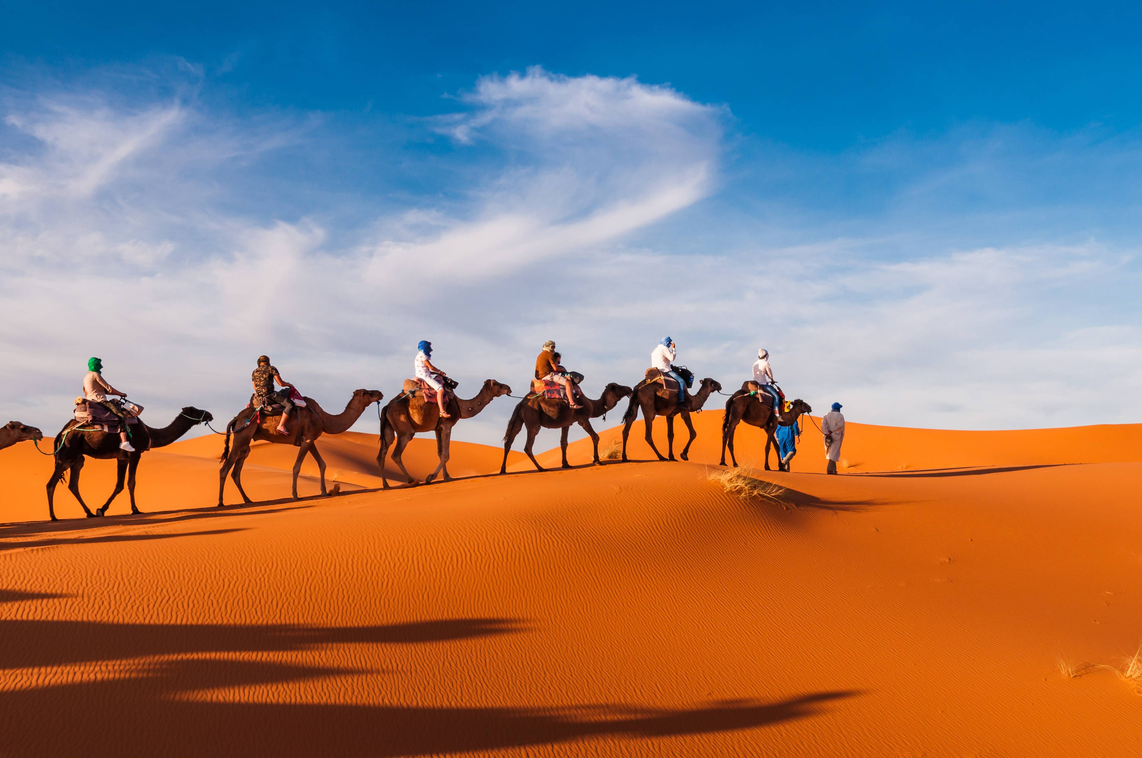erfoud giro in cammello nel deserto