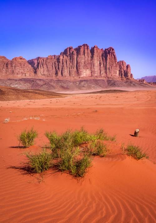 wadi rum