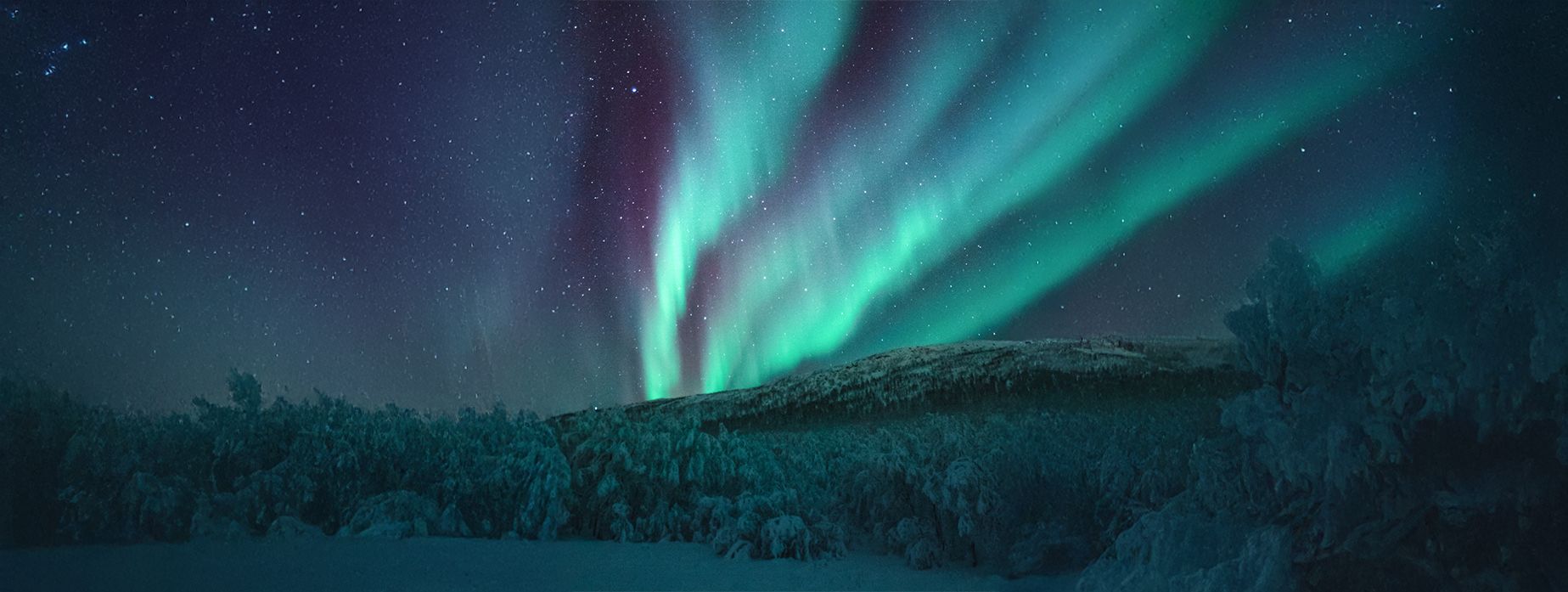 Da Kiruna ad Abisko: l'essenza della Lapponia Svedese cover