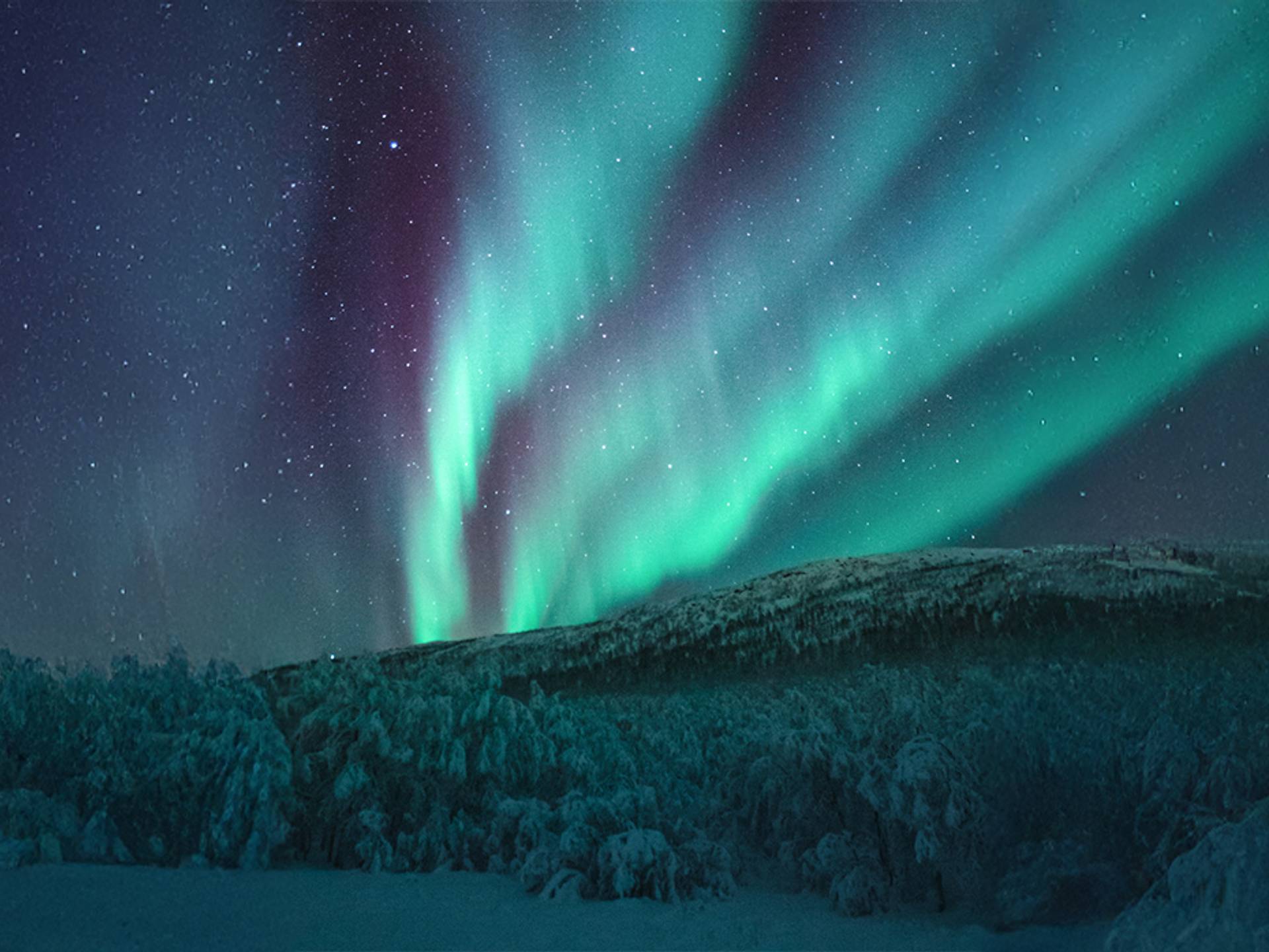 Da Kiruna ad Abisko: l'essenza della Lapponia Svedese cover
