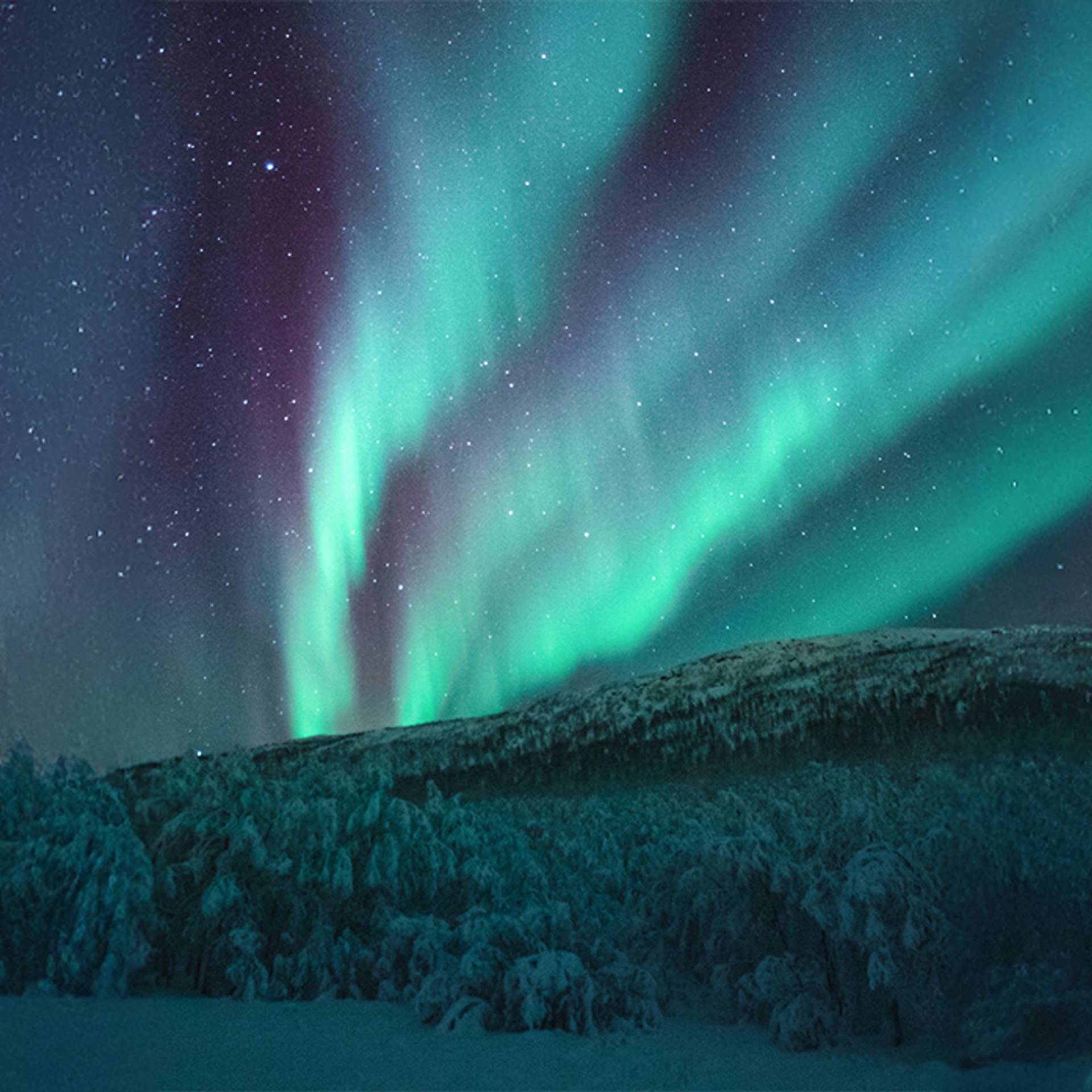 Da Kiruna ad Abisko: l'essenza della Lapponia Svedese