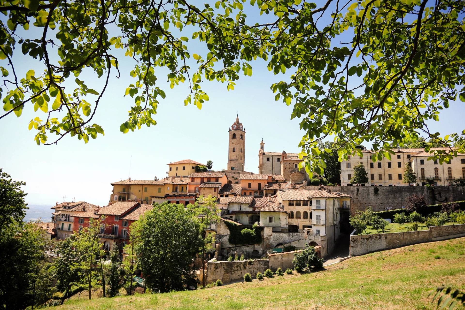 monforte d alba