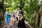 donna con scimmia sulla spalla monkey forest ubud indonesia