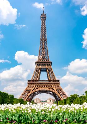 foto di Torre Eiffel
