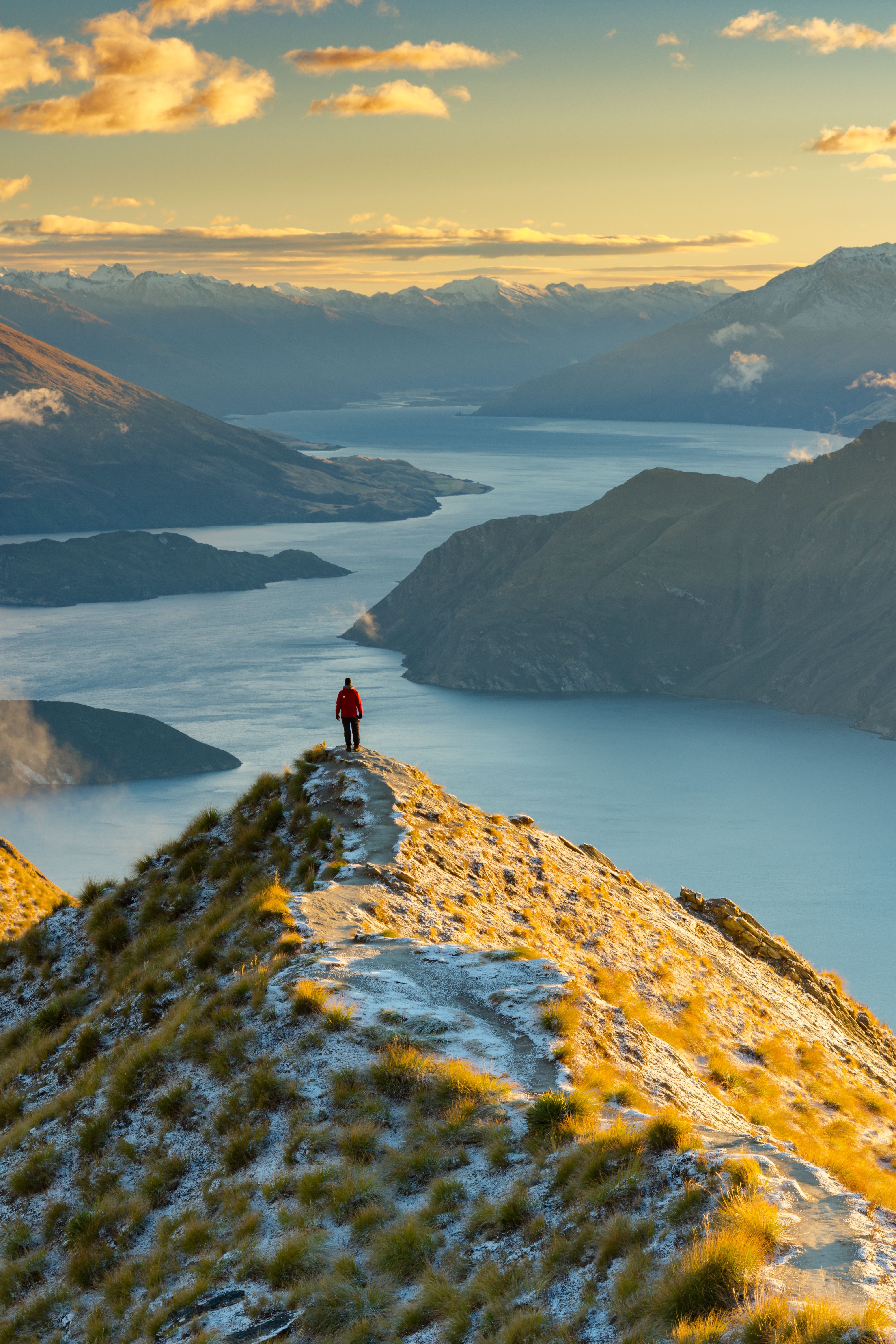 persona su monte sopra un fiordo in nuova zelanda