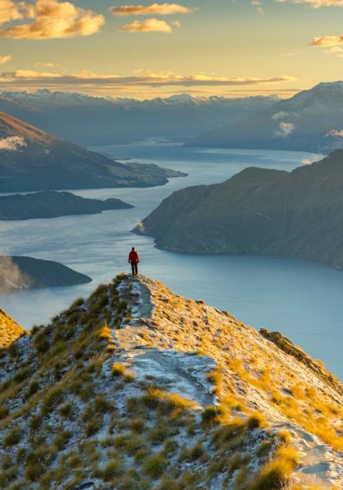 persona su monte sopra un fiordo in nuova zelanda