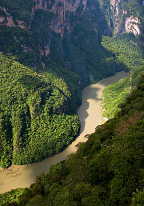 Sumidero