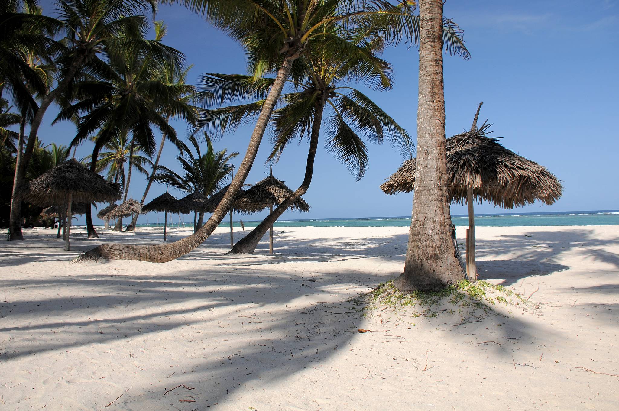 spiaggia con palme e mare cristallino