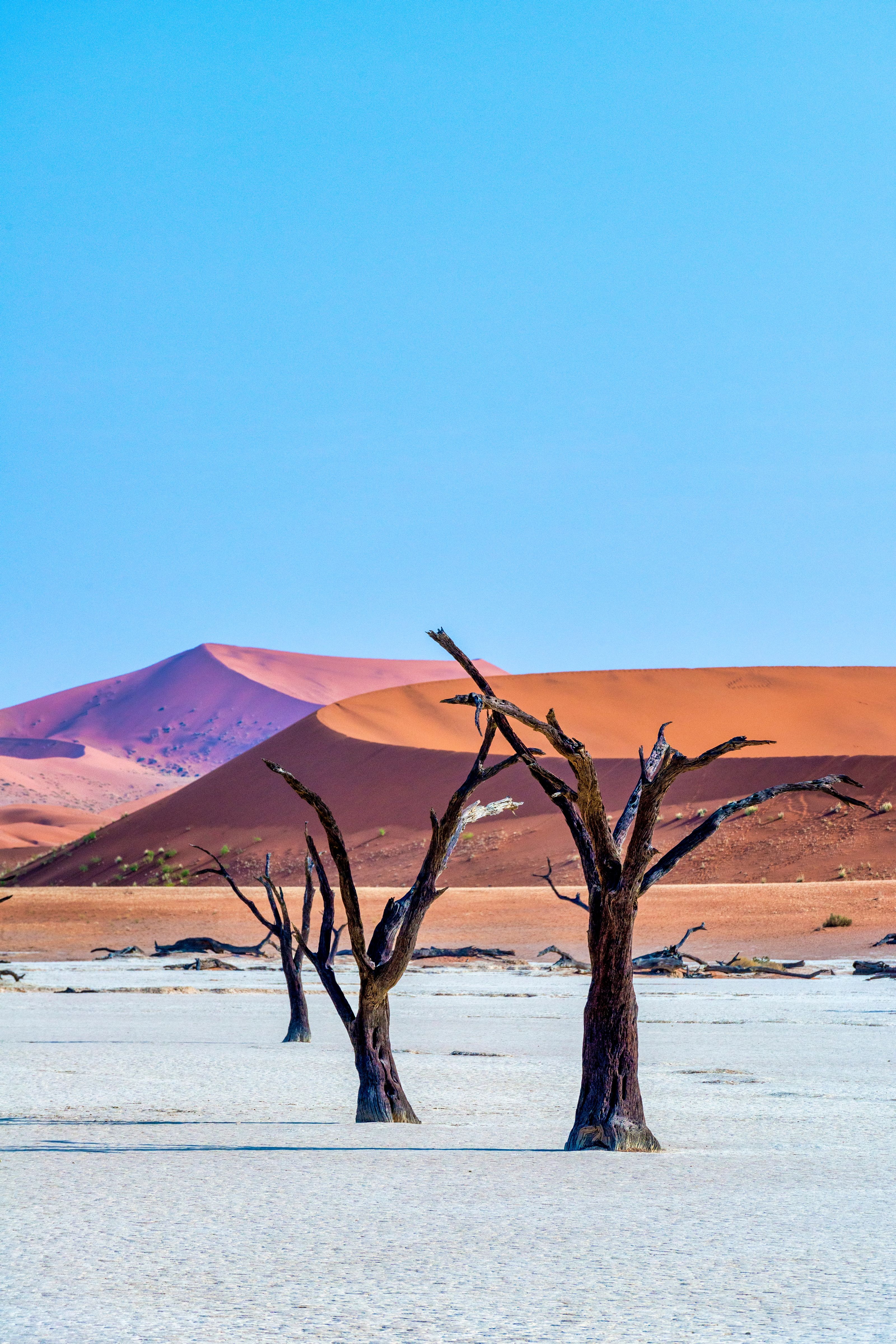 organized trip to Namibia
