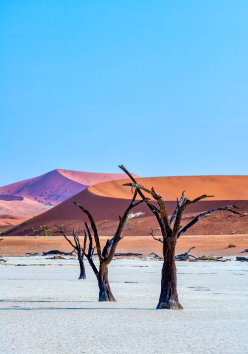 viaggio organizzato in namibia