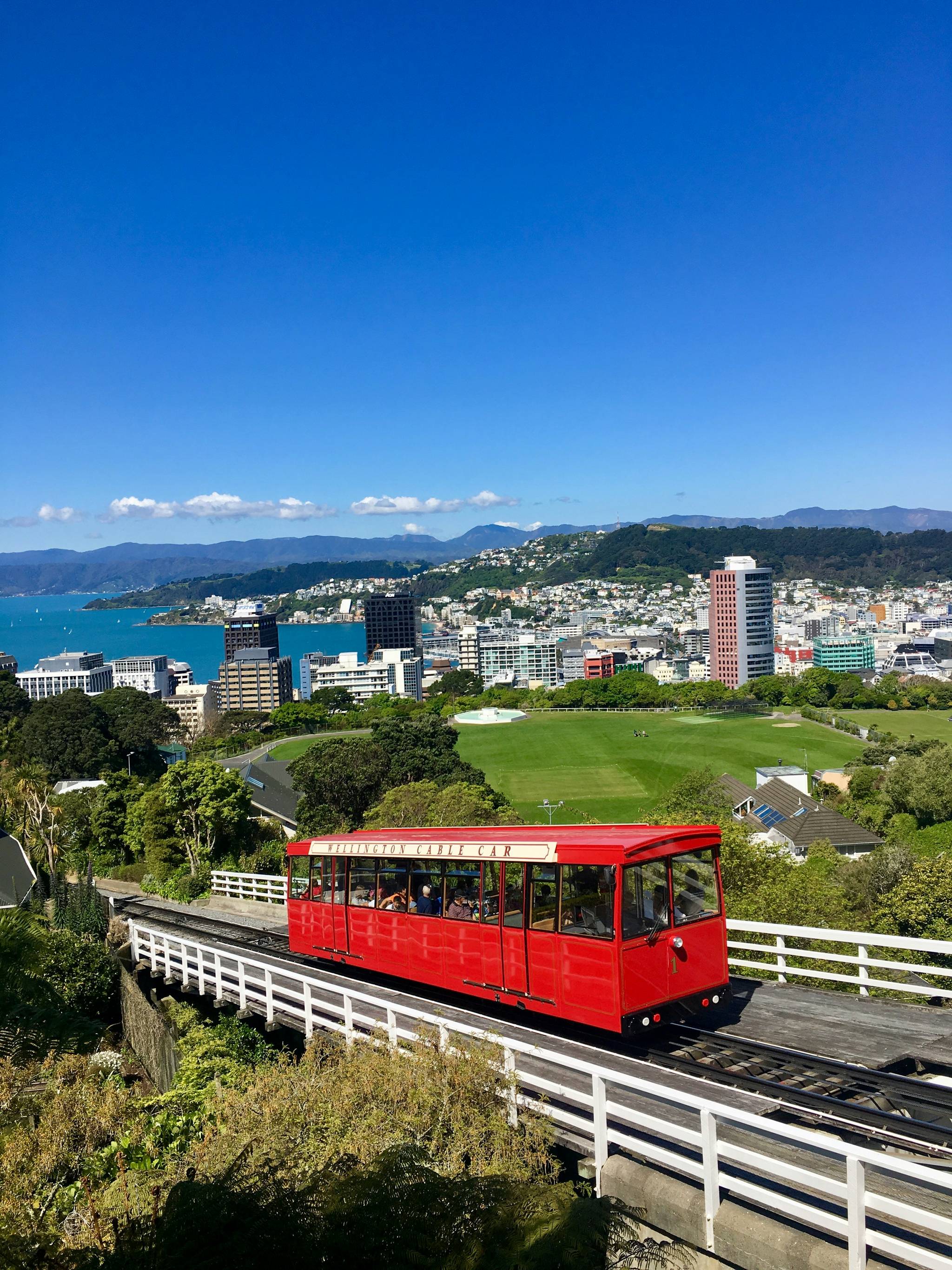 wellington