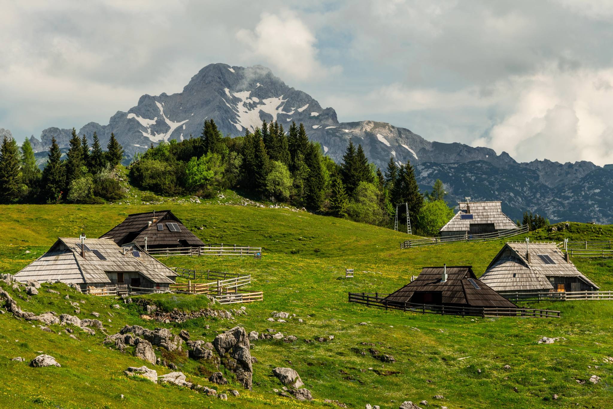 velika planina