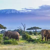 Trekking sul Kilimanjaro e Safari in Tanzania