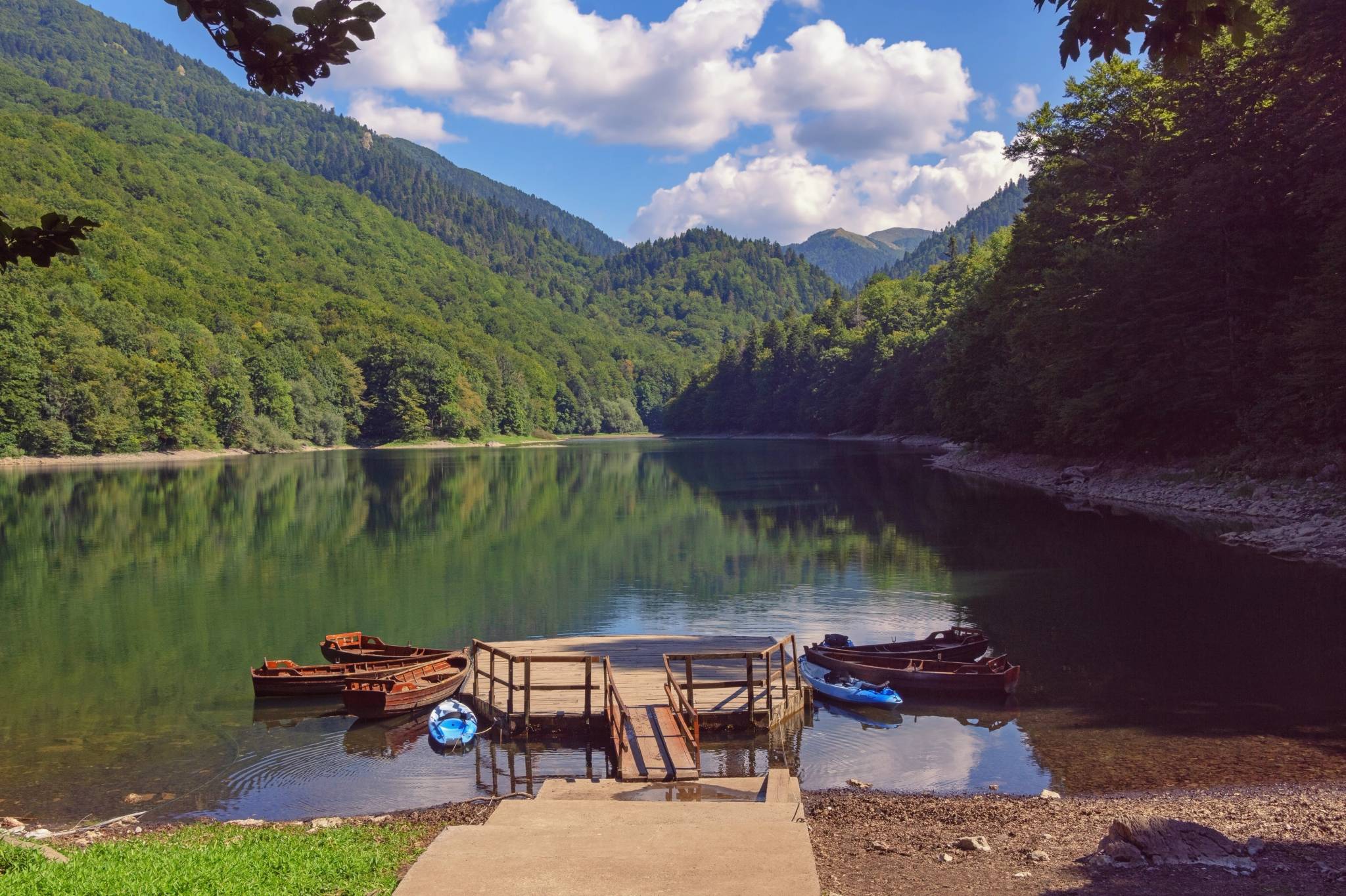biogradska gora