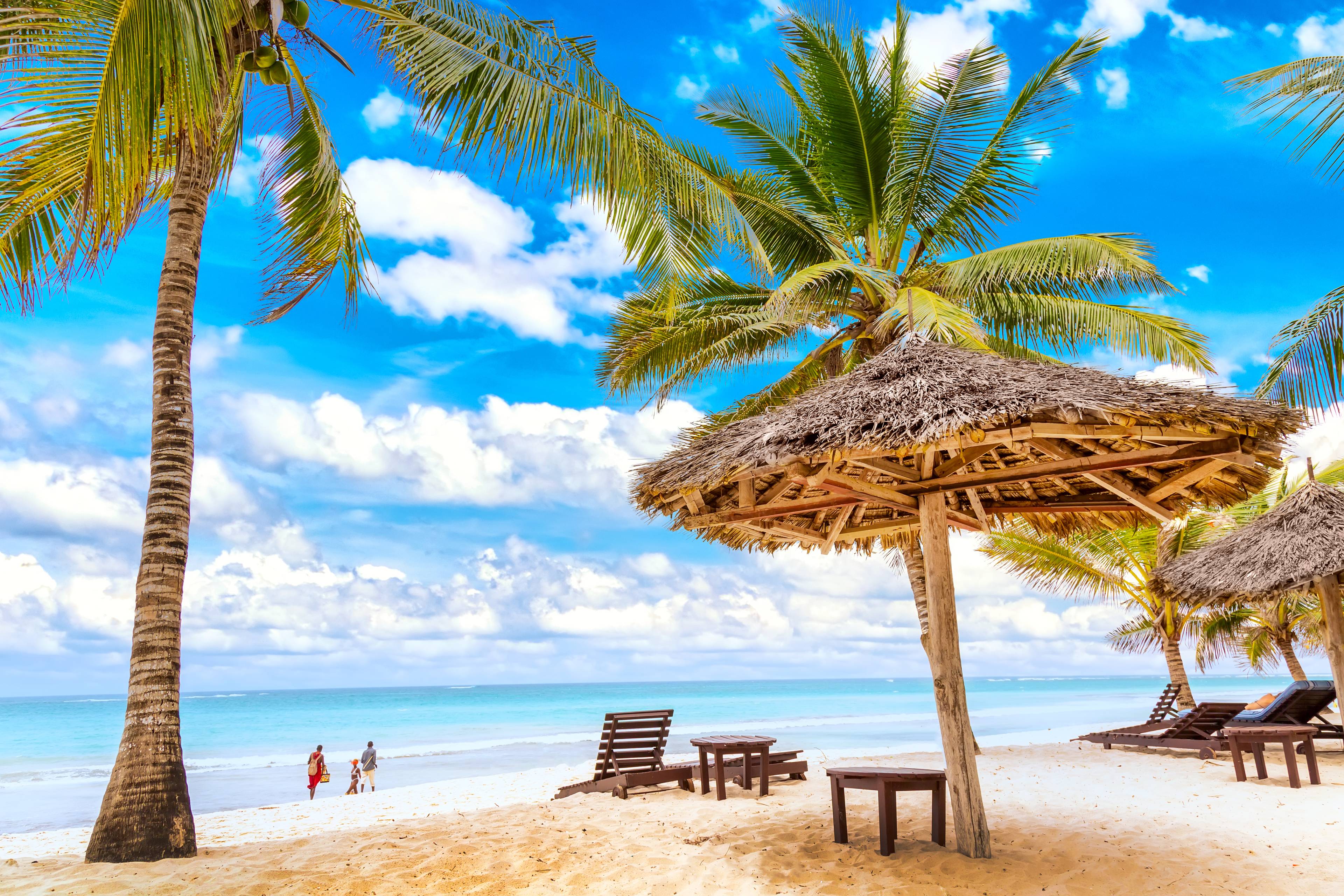 spiaggia paradisiaca con palme