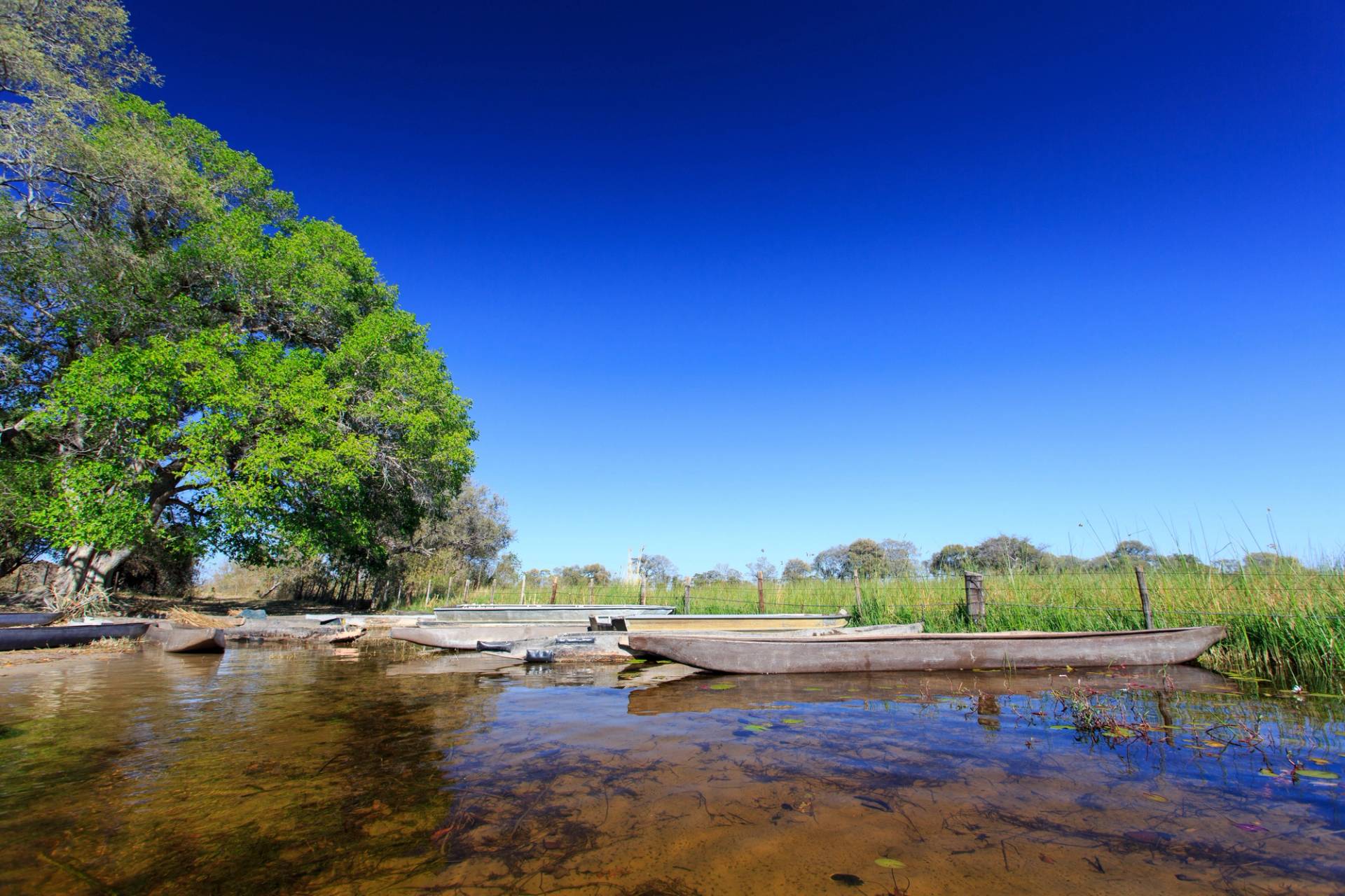 paesaggio inizio delta del okavango