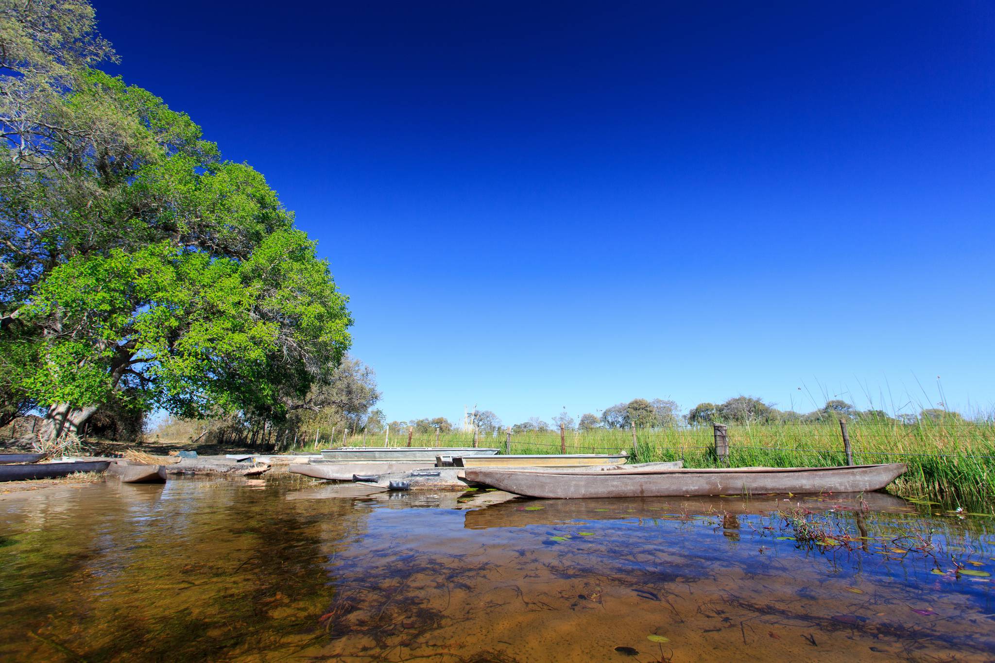 paesaggio inizio delta del okavango