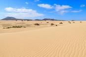 dune di sabbia di corralejo