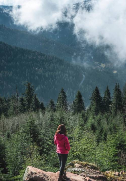 viaggio di gruppo a berlino