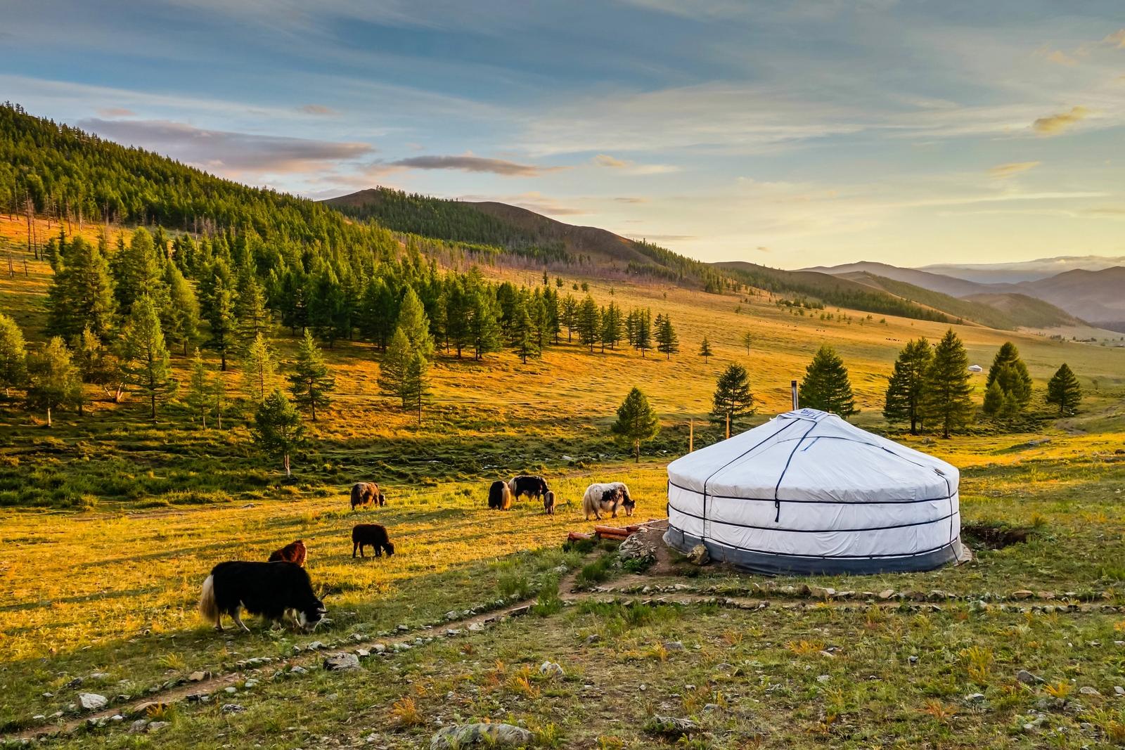 Viaggi in Mongolia