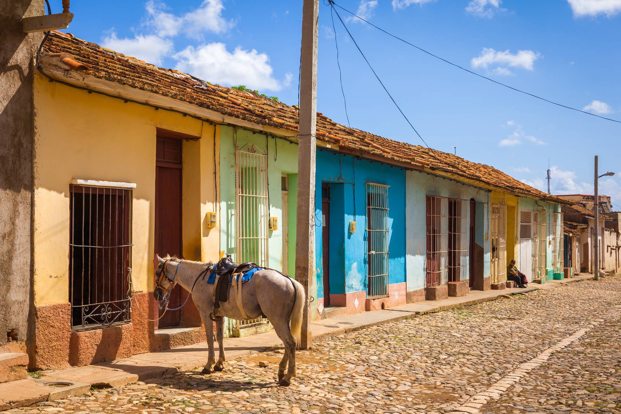 cavallo per strada