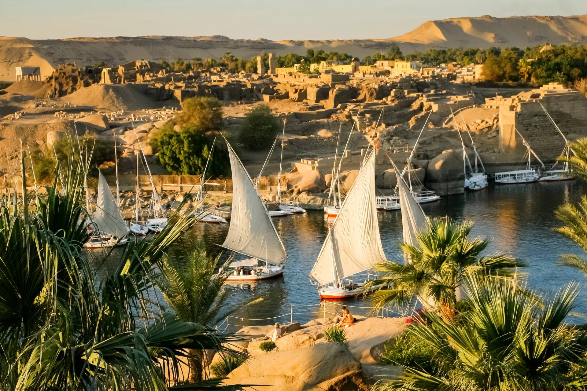 beauty of the nile