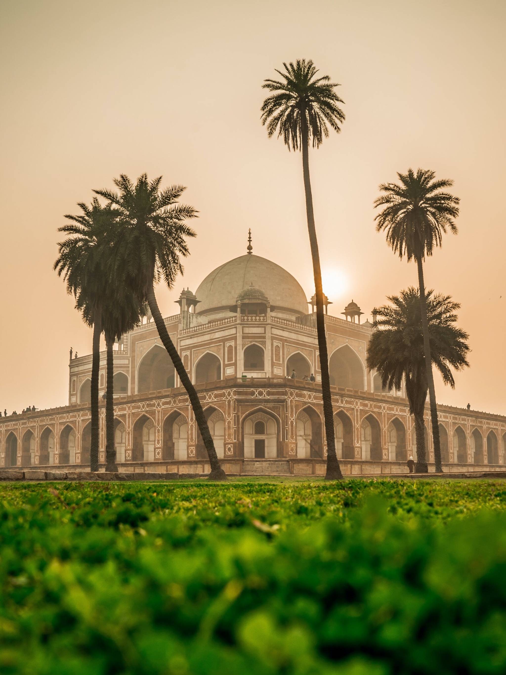 delhi