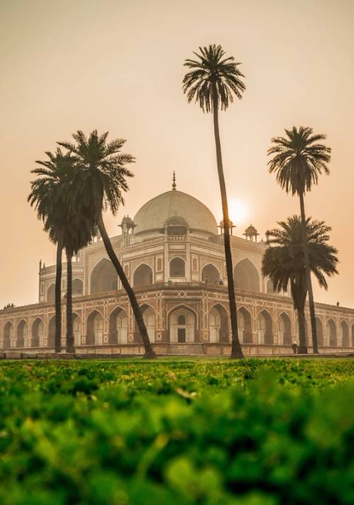 delhi