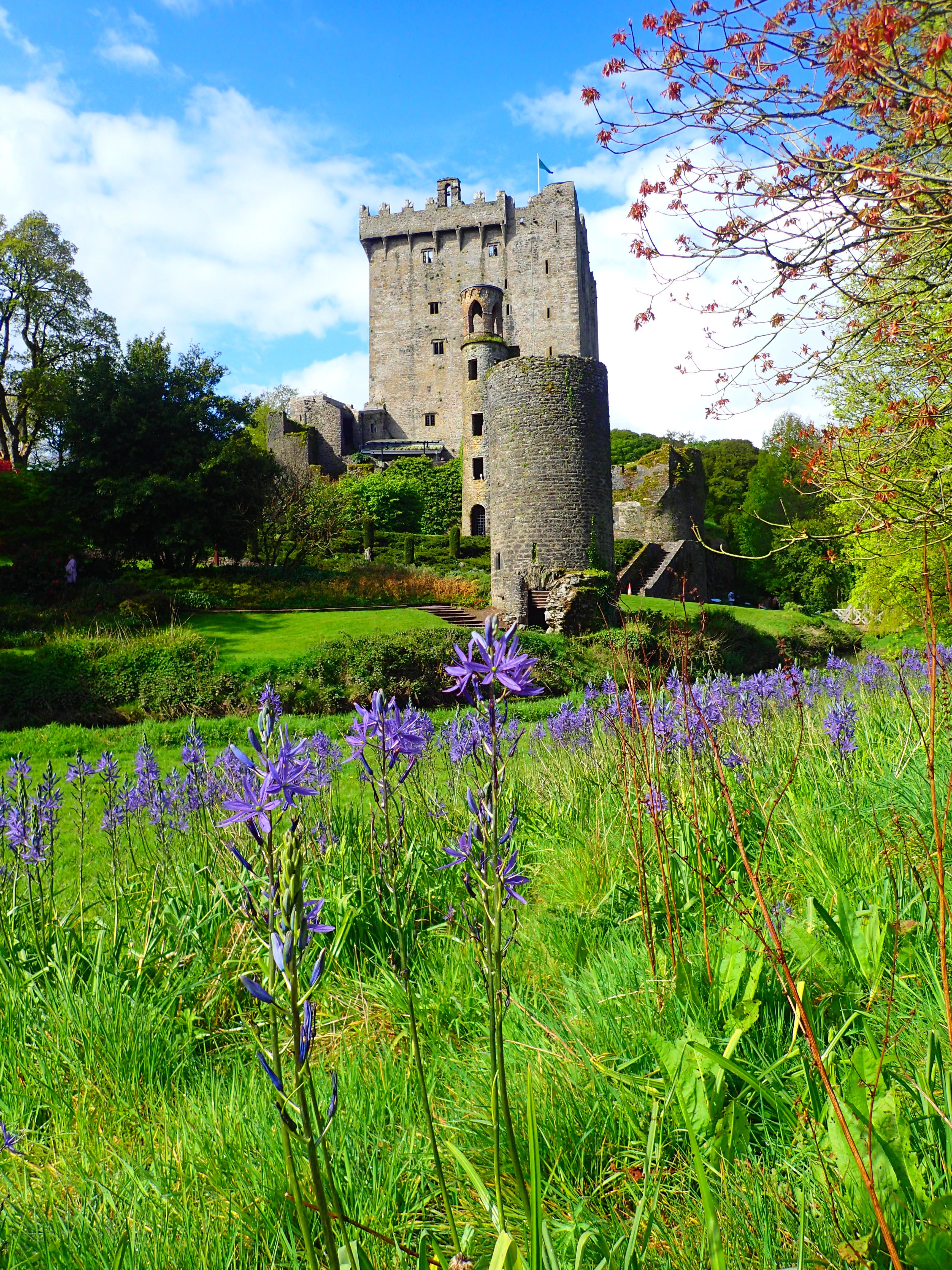 castello irlanda