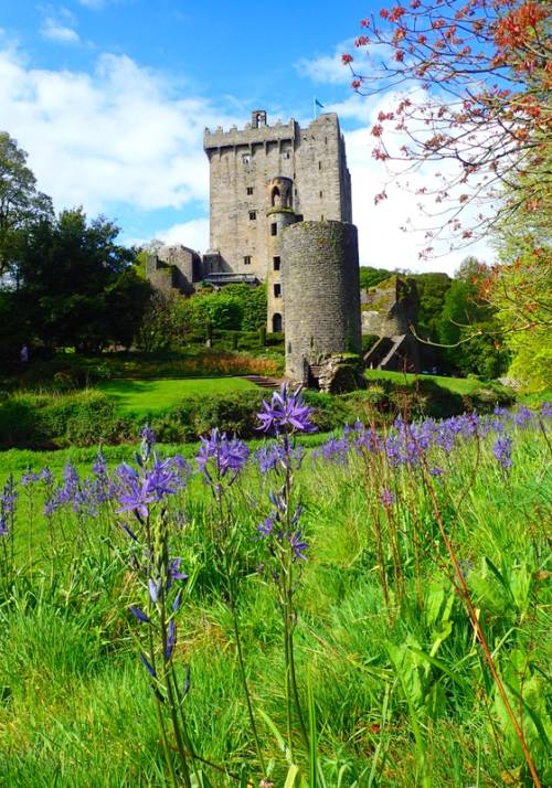 castello irlanda