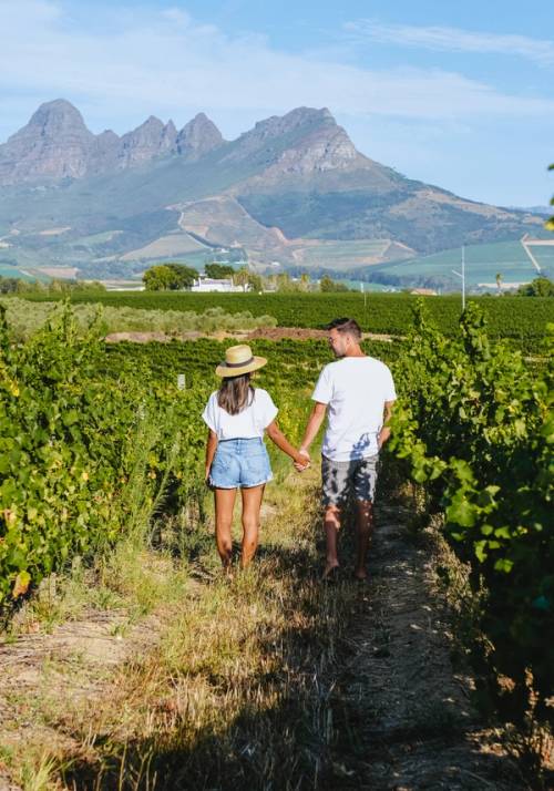 coppia tra i vigneti a capo verde