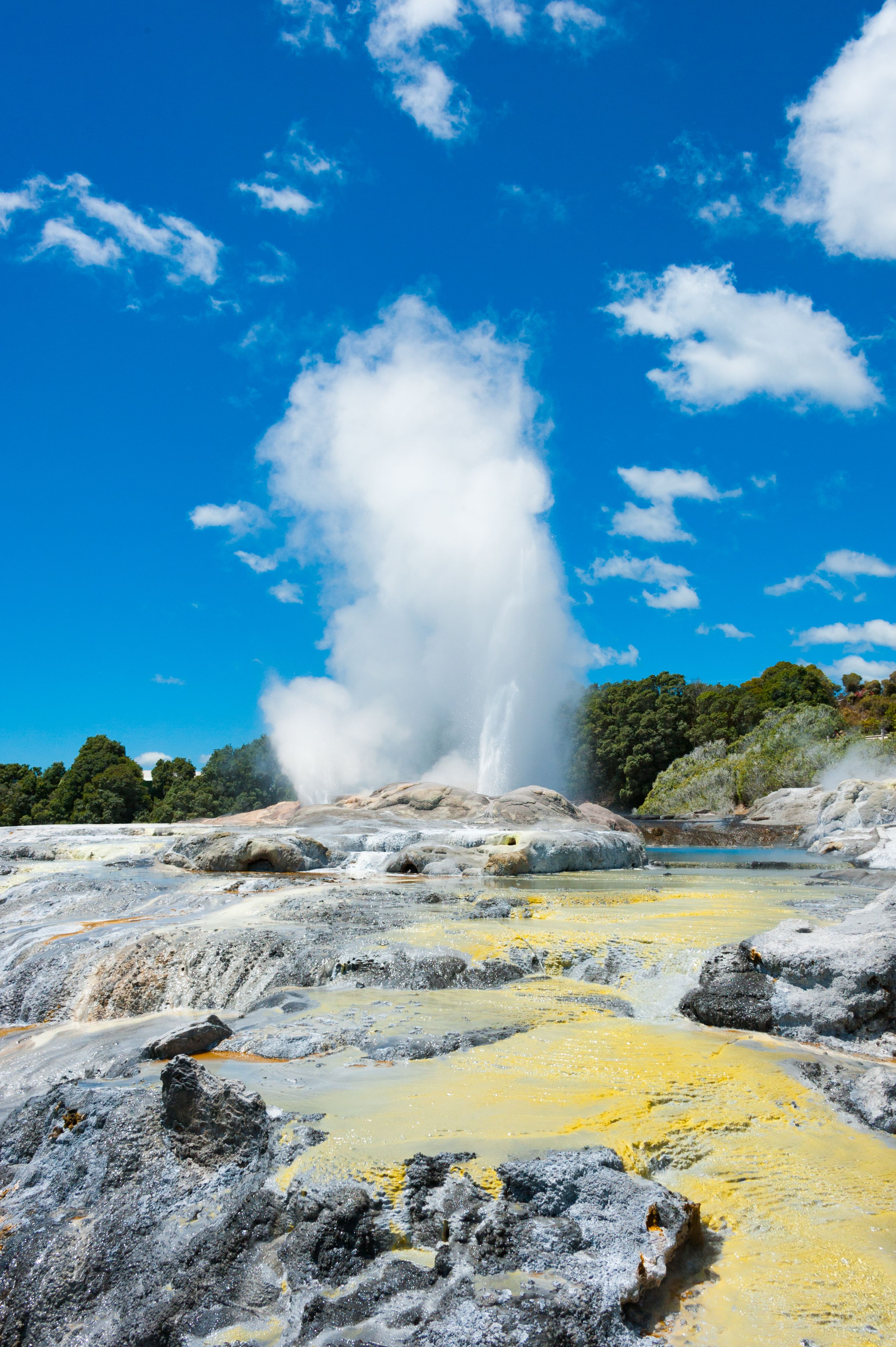geyser in nuova zelanda