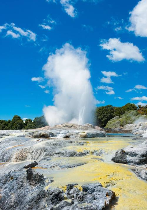 geyser in nuova zelanda
