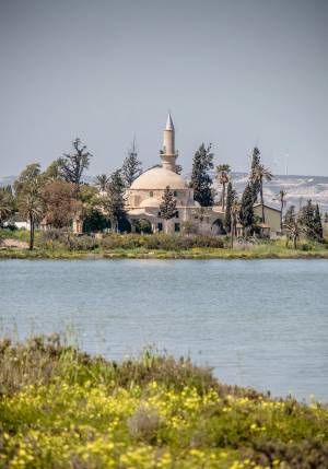 moschea sul lago larnaca cipro