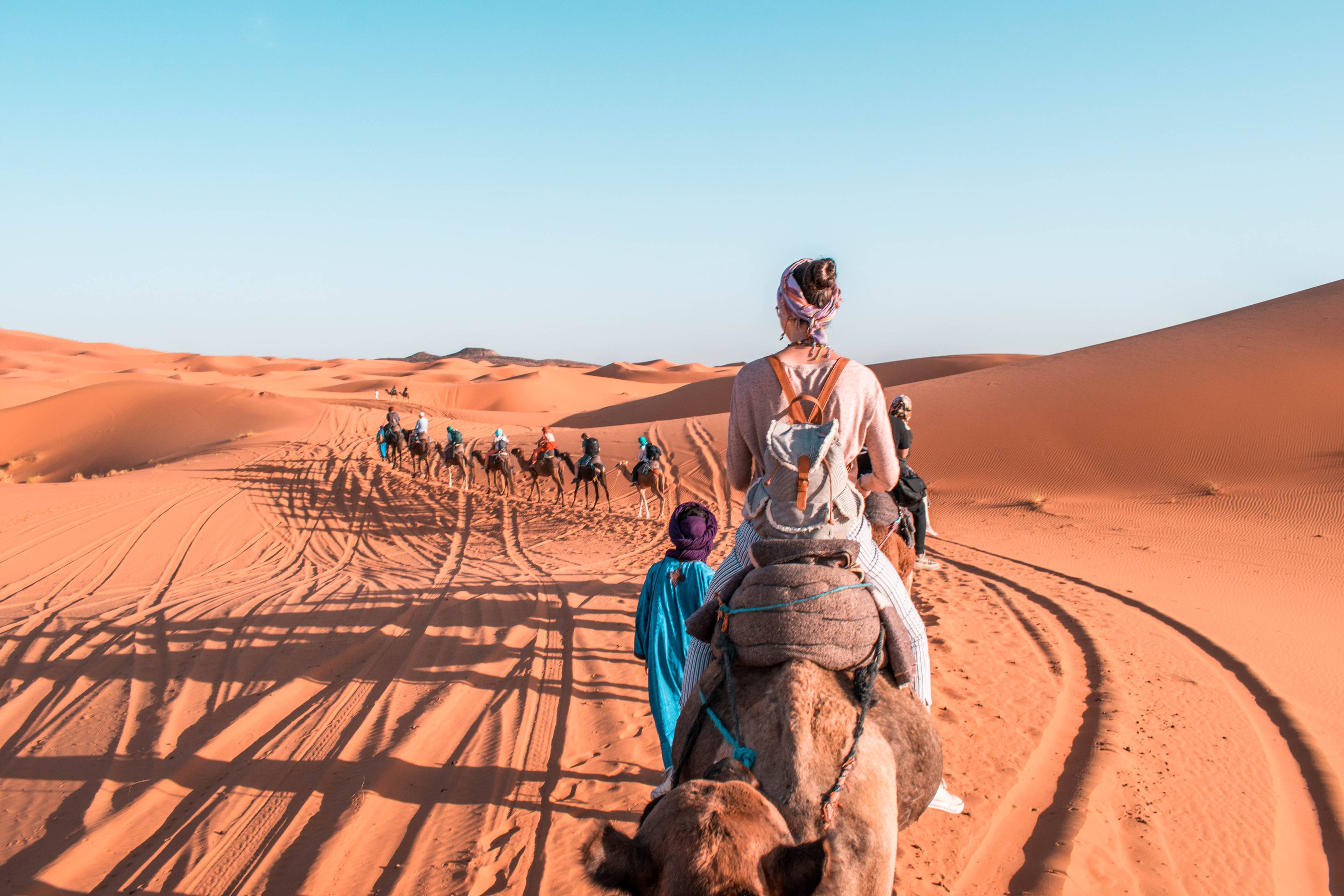 escursione di gruppo in cammello nel deserto