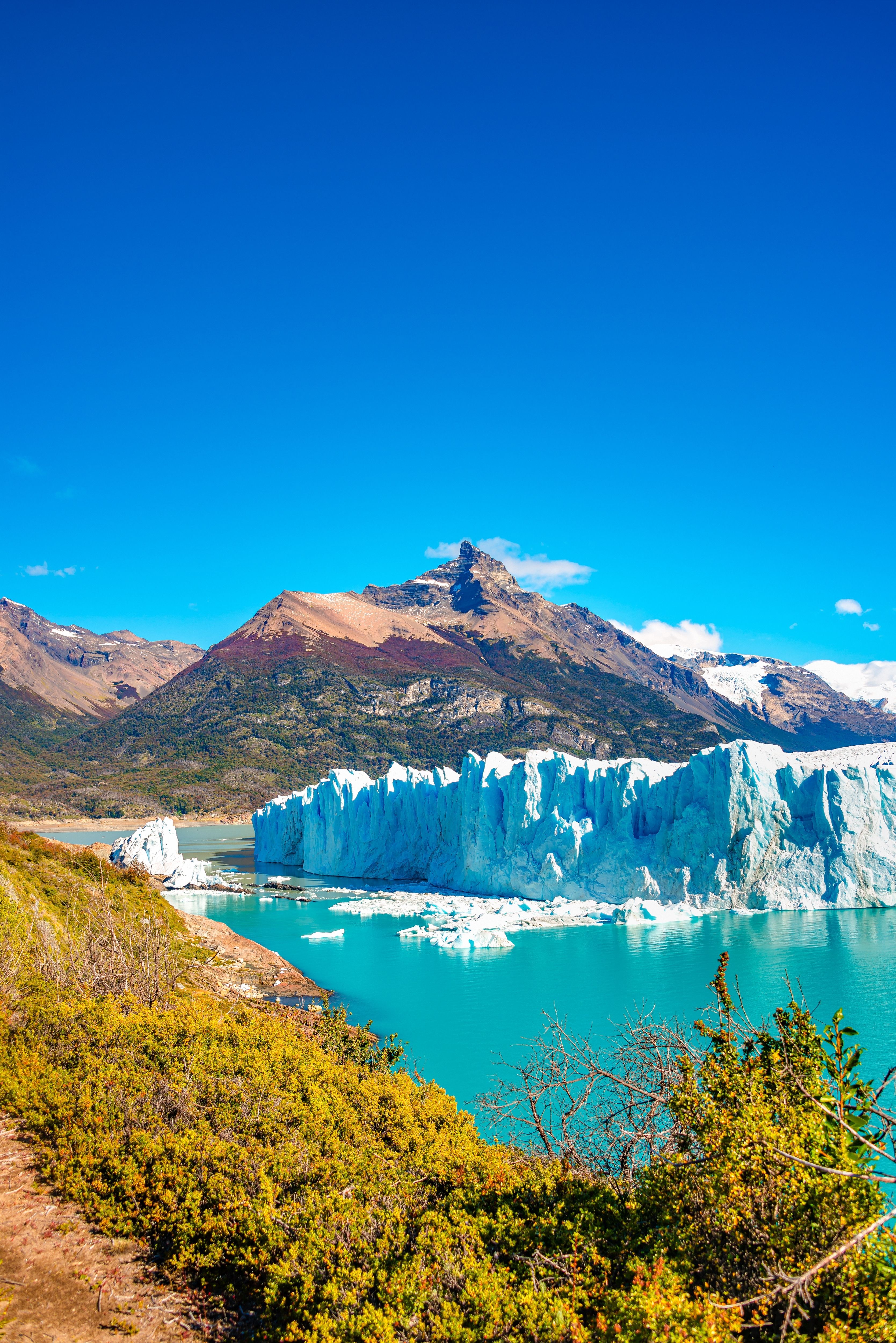 el calafate