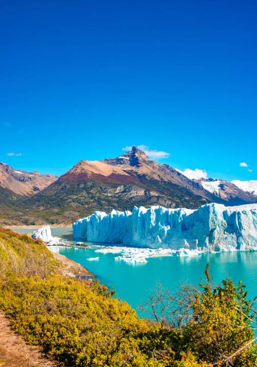 el calafate