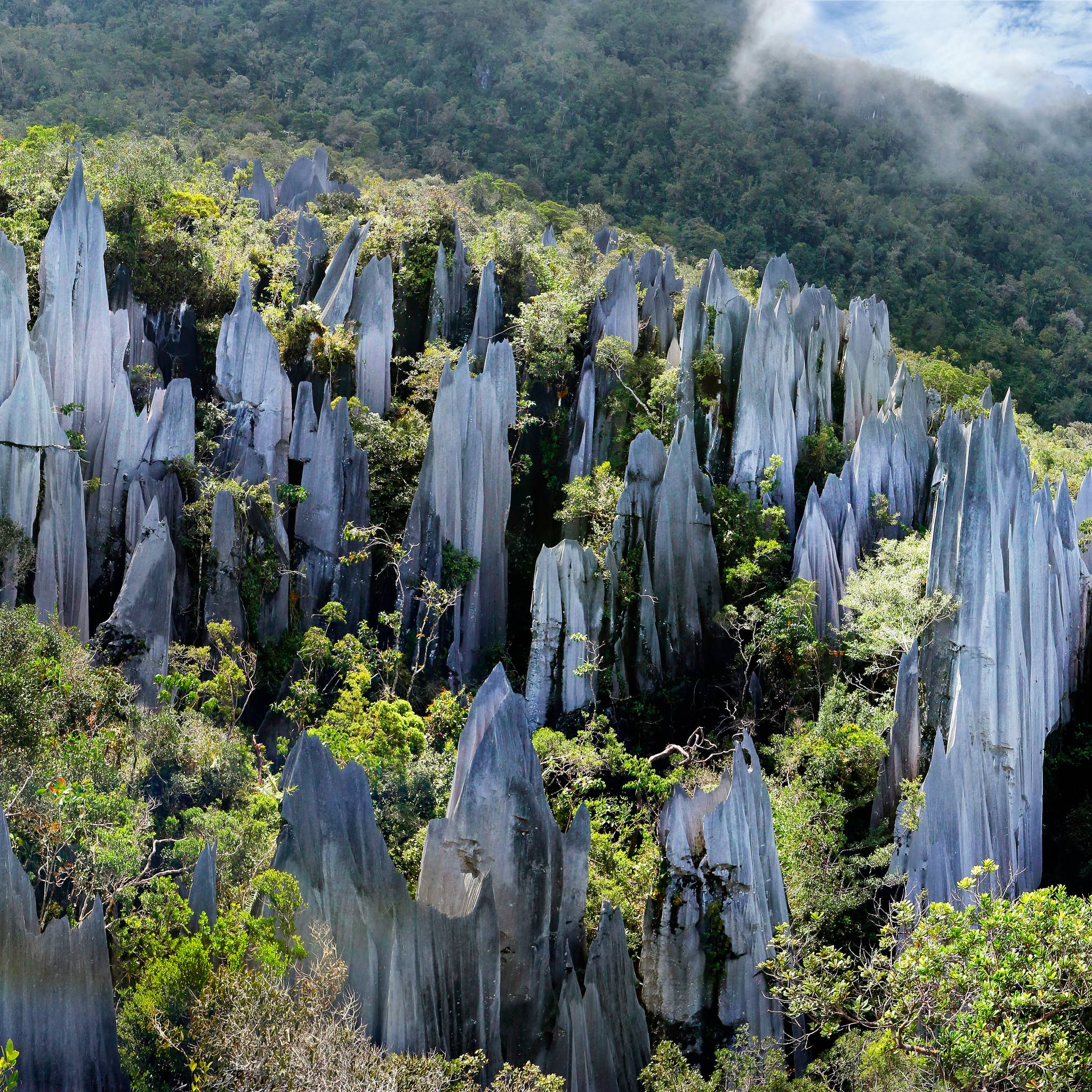 Tour nel cuore selvaggio della Malesia
