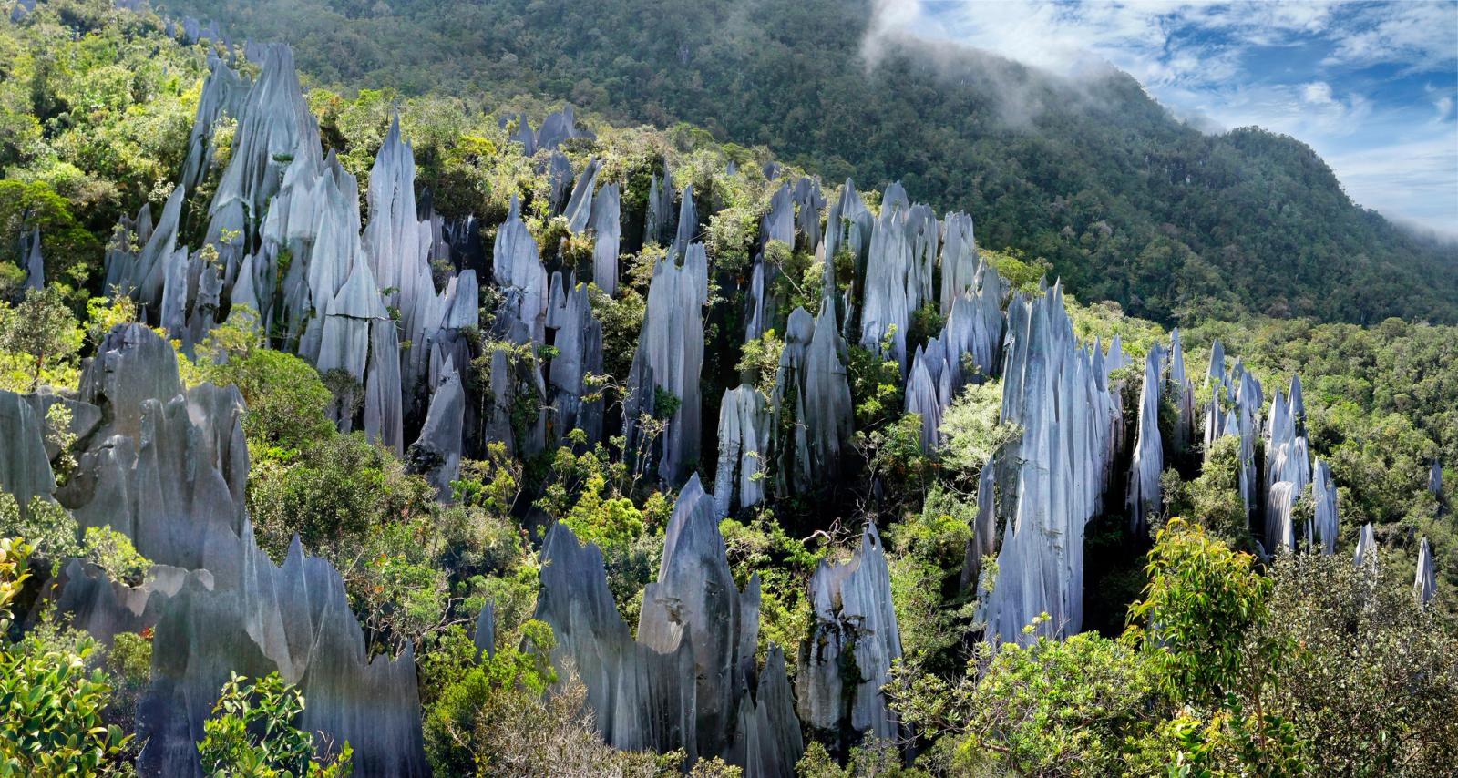 pinnacoli di pietra calcarea nel parco nazionale di mulu