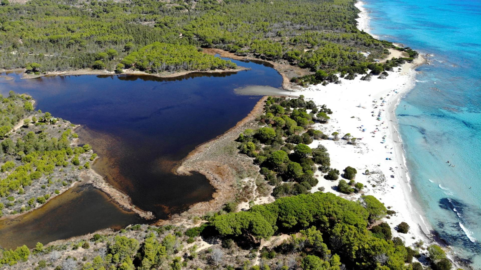 sardegna