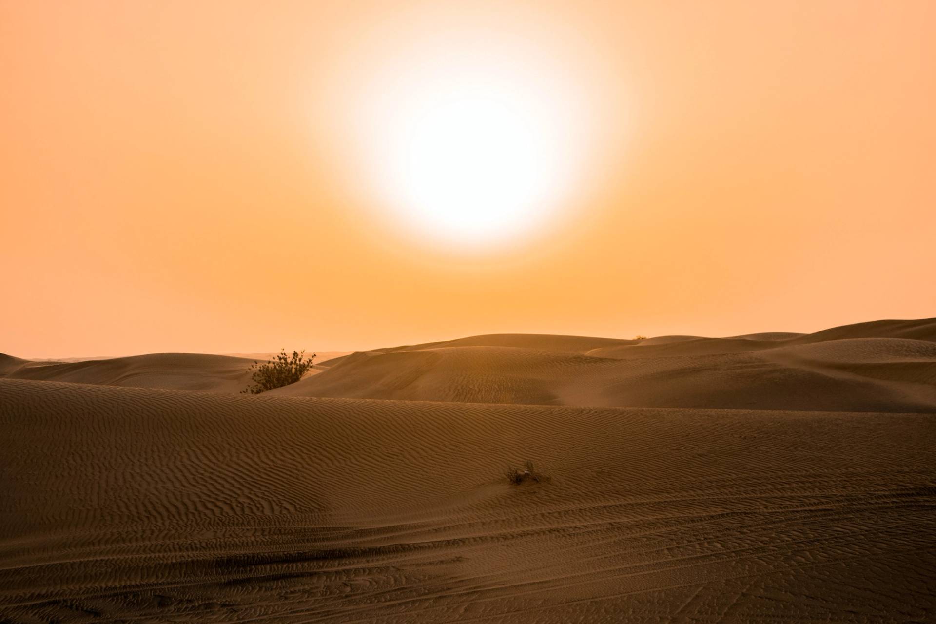 deserto a dubai