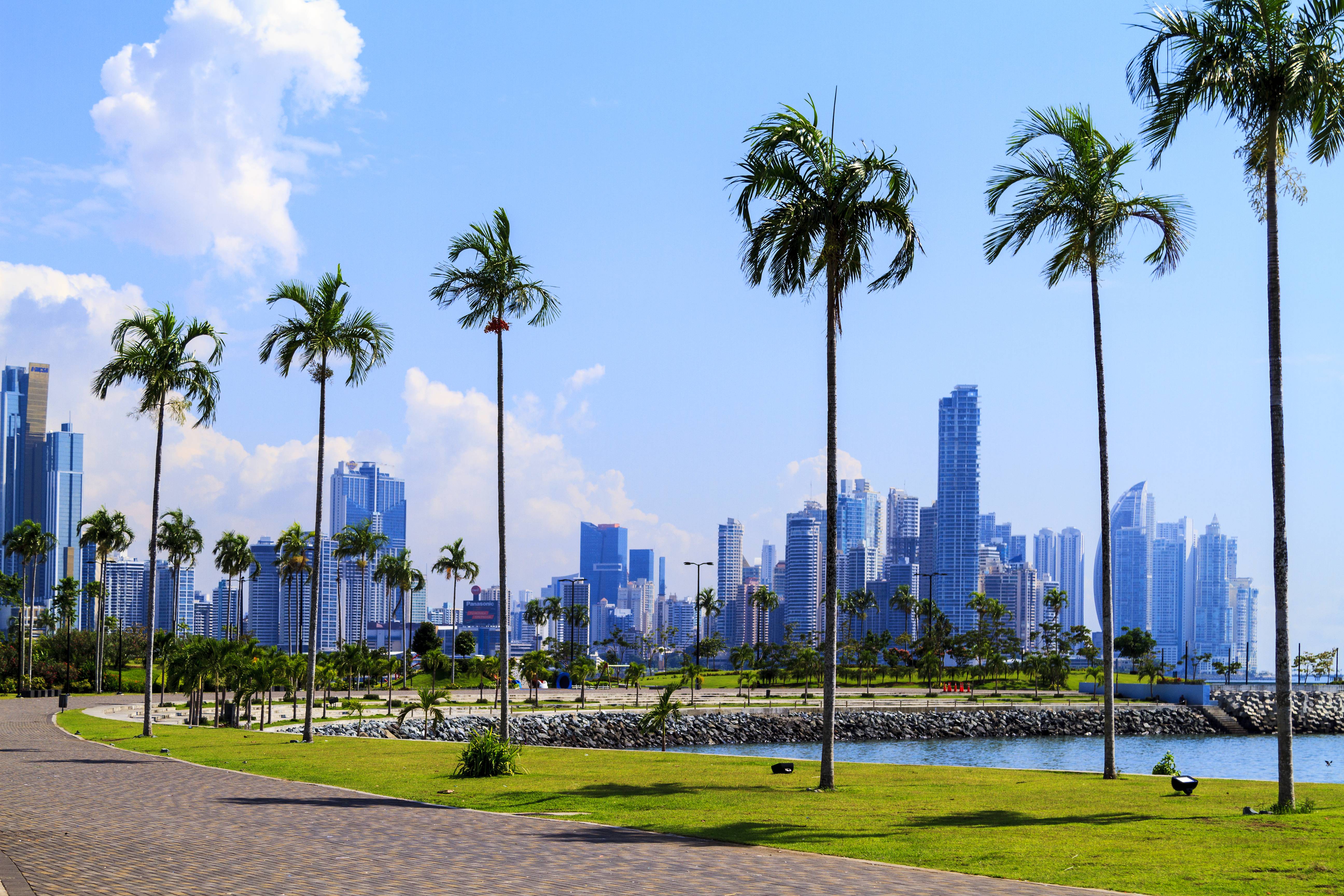 skyline di panama city con palme