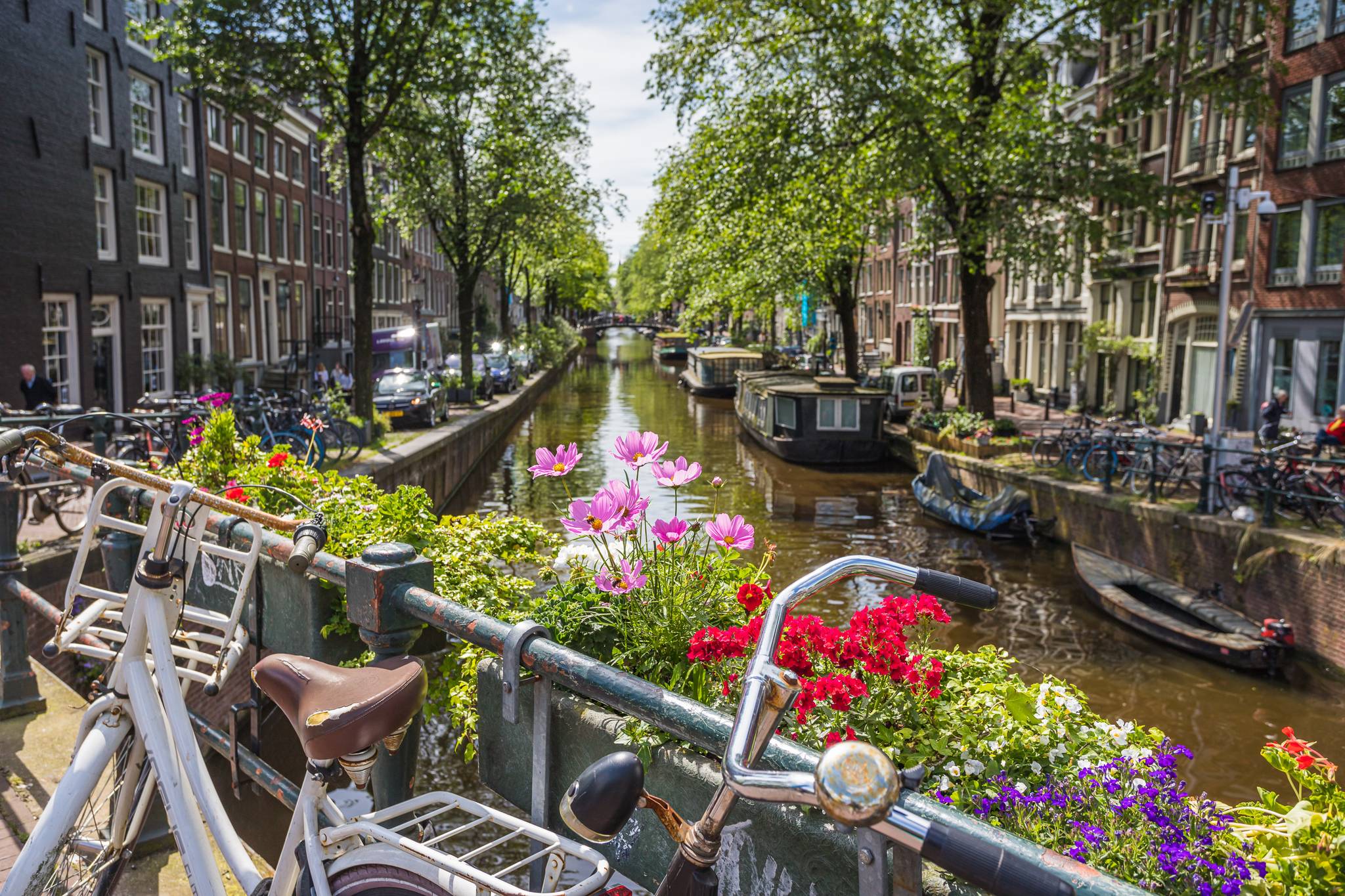 amsterdam jordaan