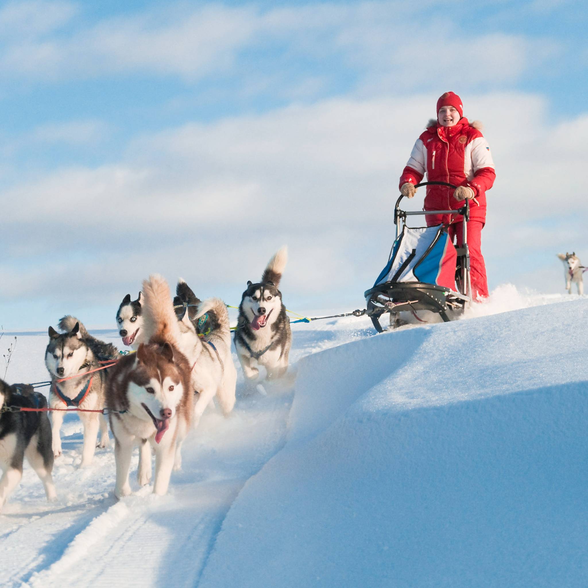 Tour della città di Tromsø